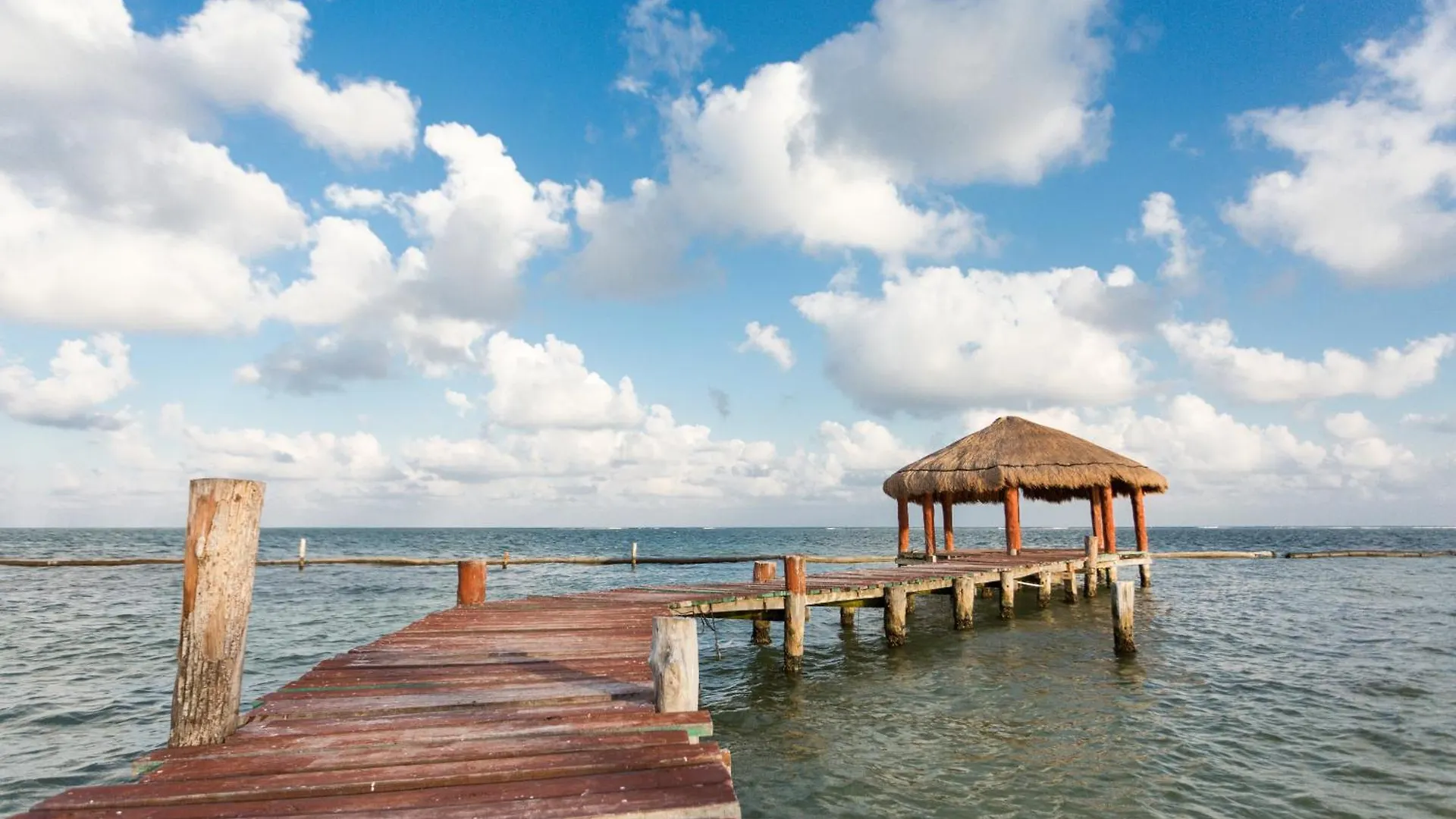 Apartment Villa Alma - Beachfront Exclusive Villa In Cancun By Solmar Rentals Puerto Morelos Mexico