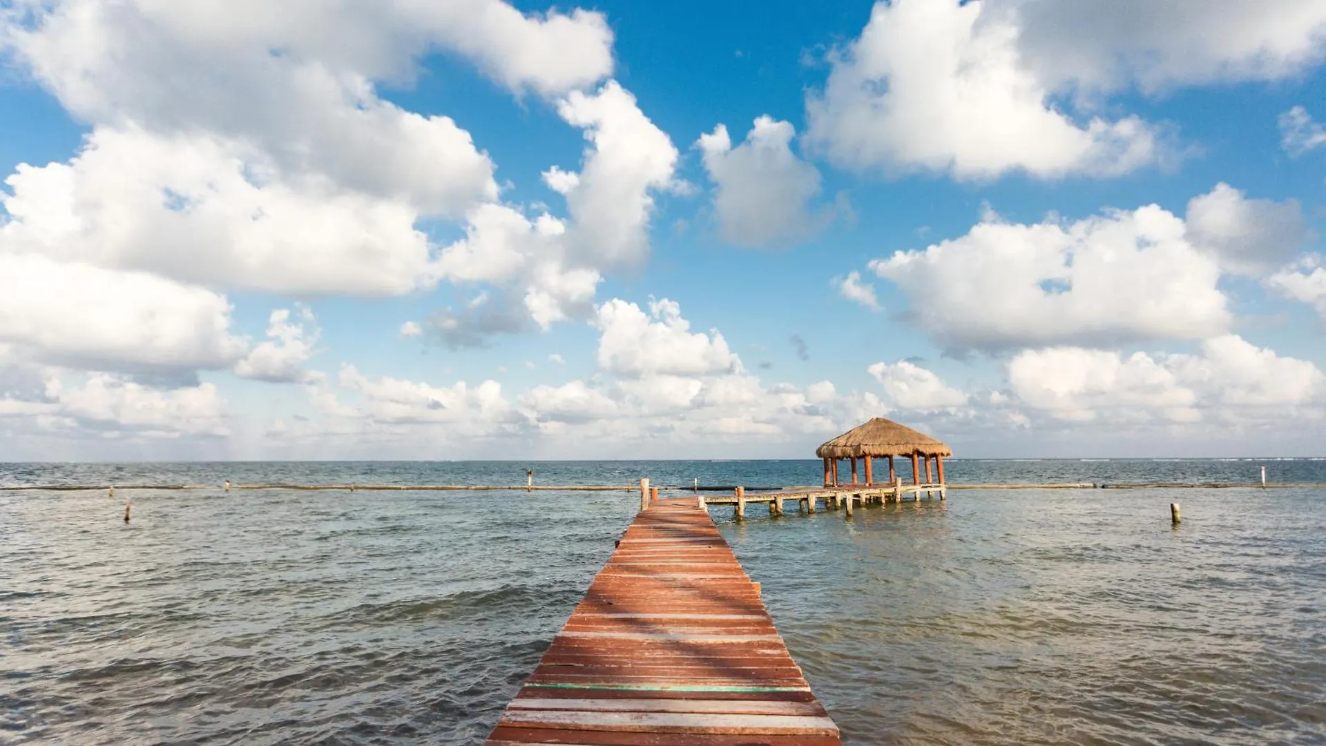 Villa Alma - Beachfront Exclusive Villa In Cancun By Solmar Rentals Puerto Morelos 0*,  Mexiko
